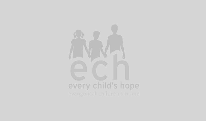 https://everychildshope.org/give-stl-day-may-3rd/